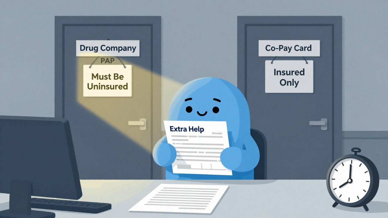 Medicare patient facing two doors labeled for different assistance programs, with a denied letter and overdue form.